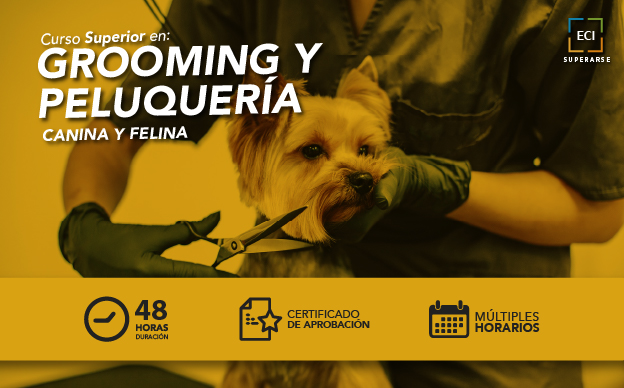 Curso Superior en Grooming y Peluquería Canina y Felina