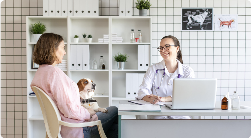 Curso Superior en Gestión y Dirección de Centros Veterinarios